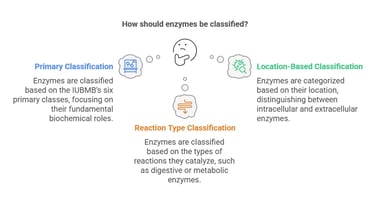 bases of enzyme classification