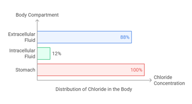 chloride body distribution