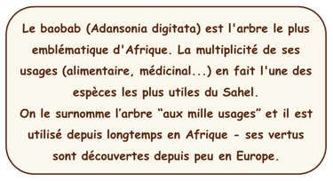 Texte présentant le baobab
