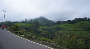 misty mountains in Munnar road side