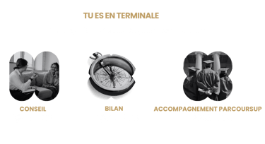 prestation pour la terminale parcoursup bilan