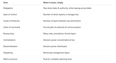 IB Business Management Quick Recap Organisational Structures Terminology