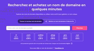 Trouver un Nom de domaine
