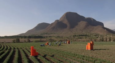 Nutrilite El Petacal Farm