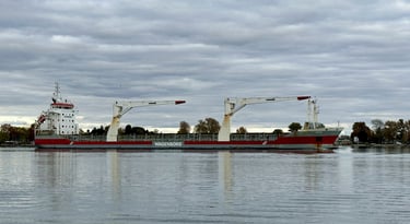 Right side profile of a gray and red cargo ship with large deck cranes, passing by some trees.