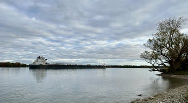 A black and white freighter passing a stony beach with a tree off to the side.