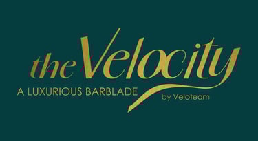 Logo the Velocity