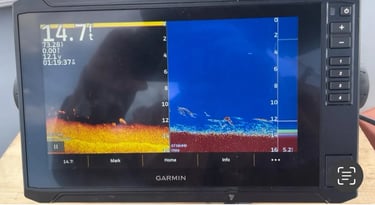 sonar garmin images