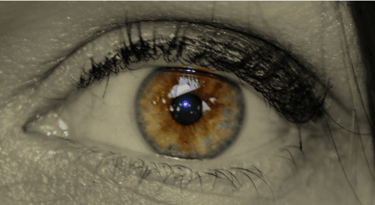 Extreme close-up of Xirkys' hazel eye with details of amber iris and dark eyelashes.