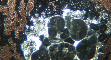 Image: Many spherical dark self-assembly sites with surrounding micro robots that conglomerate into 