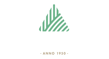 Minimalist green triangle logo with diagonal stripes above the text Anno 1950 on a white background.