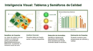 mapa semaforos