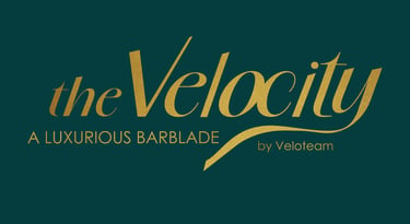 Logo the Velocity