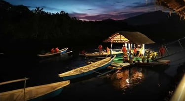 Firefly watching Puerto Princesa Palawan