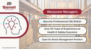 Security Professional
