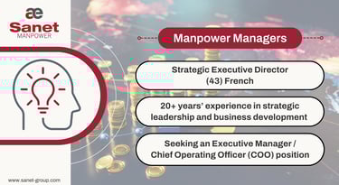 Strategic Executive Director