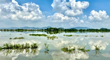 Flood in Vietnam