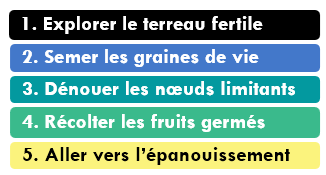 étapes de l'arbre de la renaissance