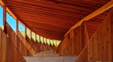 vista por dentro das baias do haras modular prefabricado