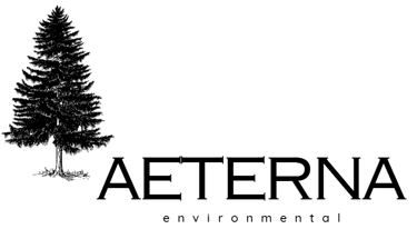 aeterna environmental