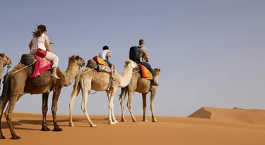 Affordable self drive Dubai desert safari including camel ride in the desert