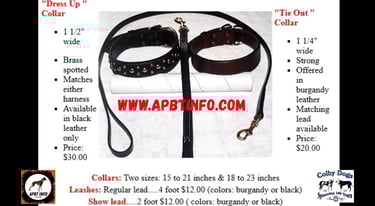 Colby Pit Bull Collar