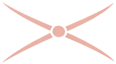 A pink crossing icon symbolising a threshold or turning point on the Living Path.