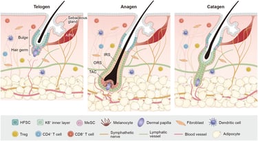 hair fall management by aston sequoia