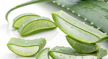 cosmetici con estratti vegetali