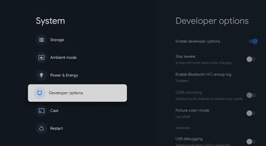 developer options is now enabled on chromecast