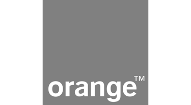 Orange logo grayed out