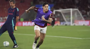 O torcedor flamenguista espera poder contar com Pedro na final da libertadores 2025.