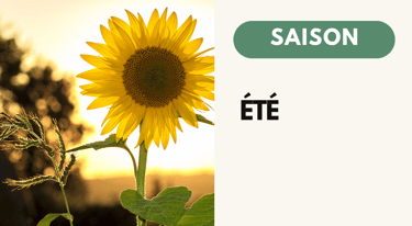 Recette Naturopathie Été 