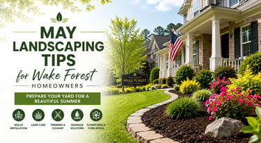 Professional landscaping services in Wake Forest NC