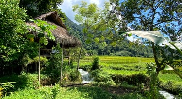 Tai Dam Homestay