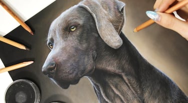 a drawing of a weimaraner dog