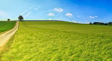 cs finanzplanung - landschaft blick in die ferne