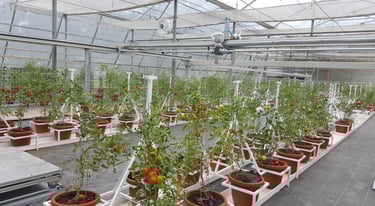 Automation Smart Agrobotic Greenhouse for Agriculture Malaysia