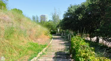 Senda de madera del Parque de Cabecera