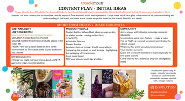 Treaclemoon social media content plan outlining sustainability, product visual and content ideas