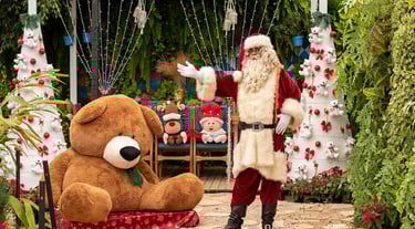 Natal Holambra