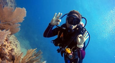 Scuba Diver curso