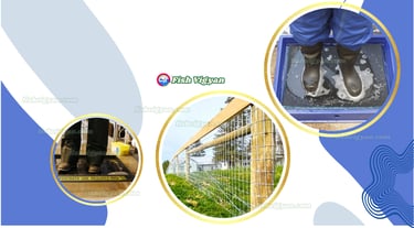  Biosecurity Tools in fish