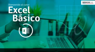 Servicio Civil - Curso Excel Básico
