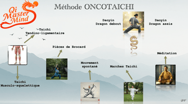 ONCOTAICHI oncologie cancer patients oncodoc