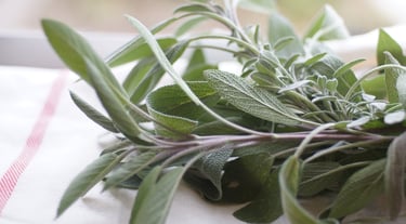 Fresh green sage herb sprigs resting on a white kitchen towel with a blurred background.