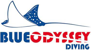 Blue Odyssey Diving