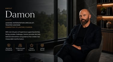 damon consultant