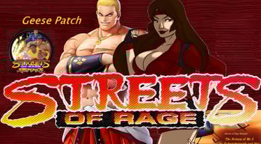 a streets of Rage's guide to streets of rage charackter patch