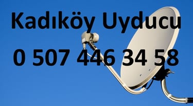 kadıköy uyducu çanak anten ayarı televizyon servisi